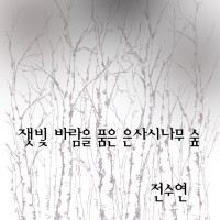 잿빛 바람을 품은 은사시나무 숲